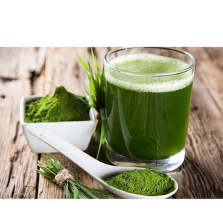 100g Bột chùm ngây nguyên chất