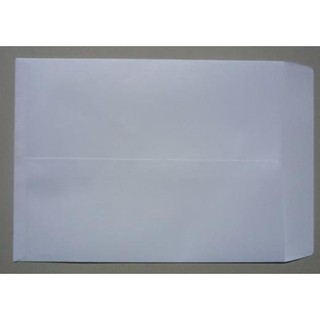 Bao thư trắng A4 DL80 (xấp/100 cái)
