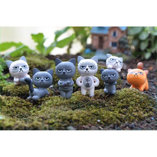 1 con mèo bực tức ngẫu nhiên terrarium tiểu cảnh