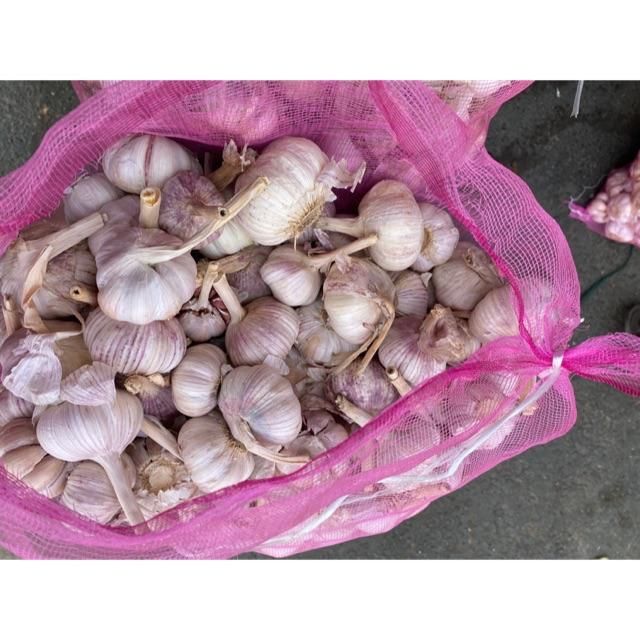 Tỏi bông sen