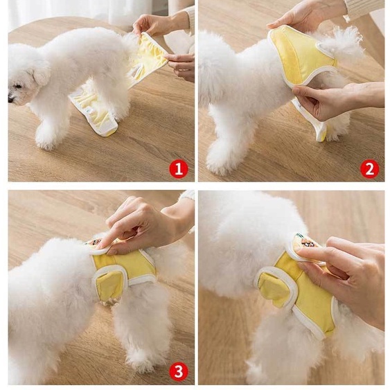 Quần sinh lý cho thú cưng - Quần lót cho chó mèo vải cotton thoáng khí