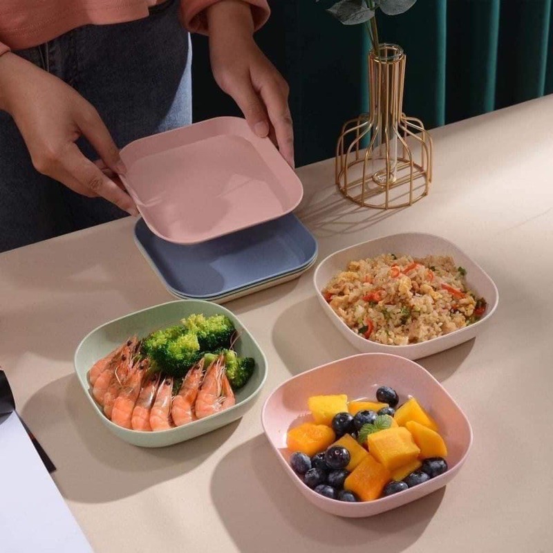 (1 đĩa )Đĩa Lúa MạchFREESHIPBộ Đĩa Lúa Mạch Hót 2021