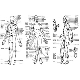 Sách - Hệ Thống Kinh Lạc (HT)