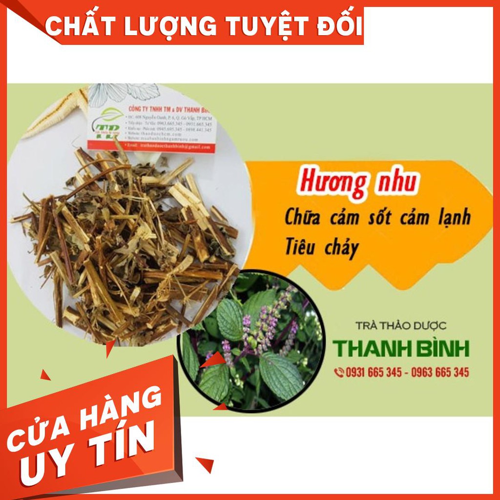 Cây Hương Nhu Khô 500g - Thảo Dược Uy Tín