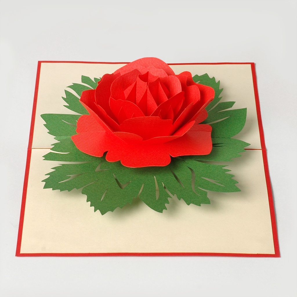 Thiệp nổi 3D HMG Pop-up Card, Hoa cúc, Hoa hồng, Quà Tặng Cho Các Dịp Lễ