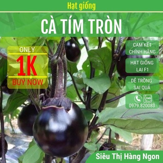 20 hạt giống cà tím quả tròn f1 cao sản, sai trái, dễ trồng