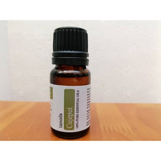 Tinh dầu Tràm Gió (Cajeput Essentinl Oil)