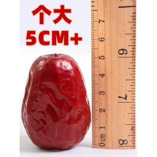 Táo đỏ tân cương loại 1 3-5cm