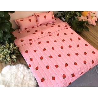 Bộ chăn ga 5 món cotton poly