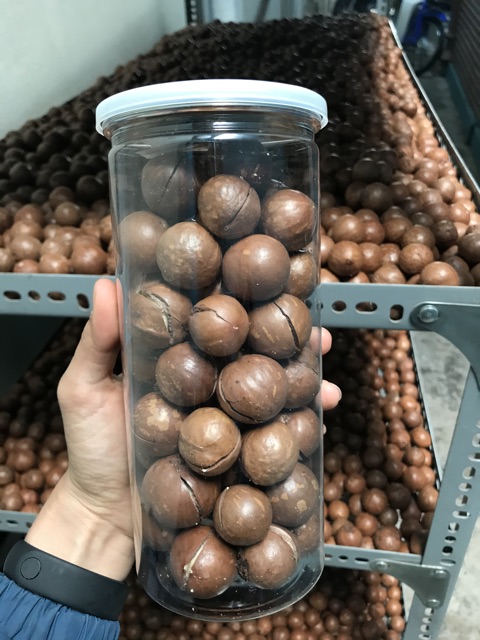 Macca rừng | BigBuy360 - bigbuy360.vn