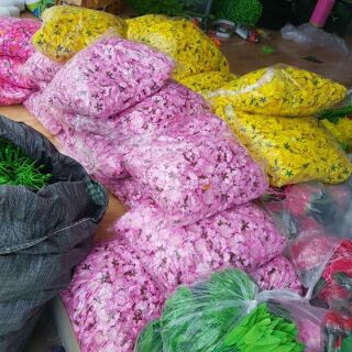 Bông mai, đào dời 200k/ kg