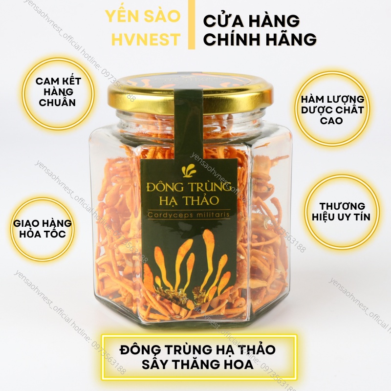 Đông trùng hạ thảo sấy thăng hoa An Phước - Lọ 10gr