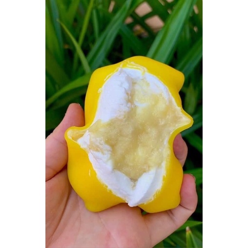 BÁNH CREPE Kem sầu riêng