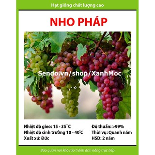 Hạt giống Nho Pháp