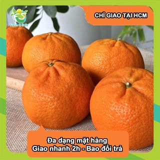 [Chỉ Giao HCM] Quýt Ai Cập