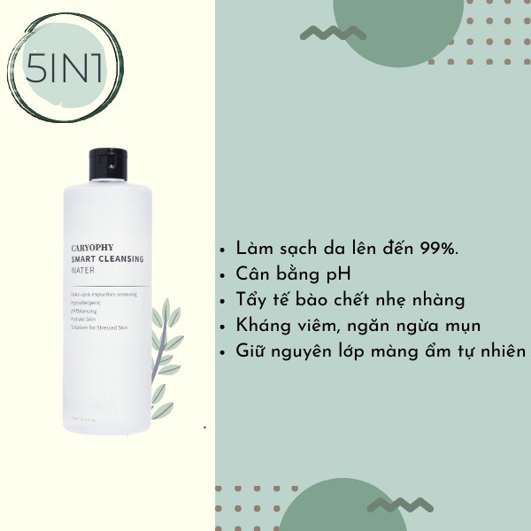 Nước Tẩy Trang Caryophy Smart Cleansing Water 300ml