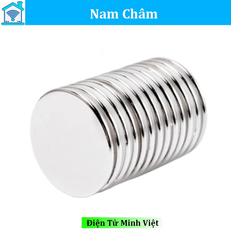 Nam châm 30x2mm