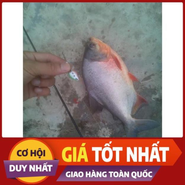 Mồi ruồi câu cá chuyên các loại cá rô phi, rô ta, chuối, lóc, sộp, thiểu - ĐỒ CÂU PHÍA BẮC - S1