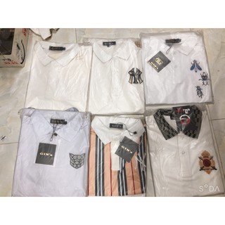 Áo phông polo BBR