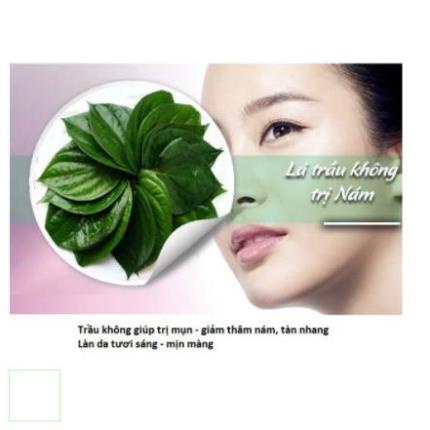 BỘT LÁ TRẦU KHÔNG 100GR