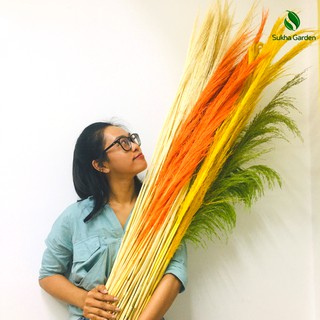 Hoa Cỏ Lau khô nhiều màu trang trí ngày Tết, decor Vintage