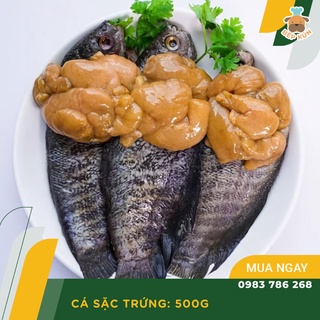 Cá Sặc Trứng 500gam