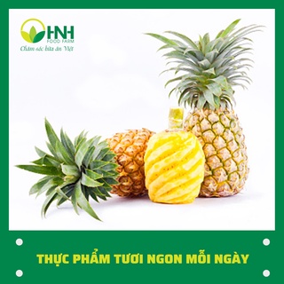 Dứa quả gọt vỏ - 01 quả chuẩn ngon trợ giá tại xưởng - HNH Food Farm