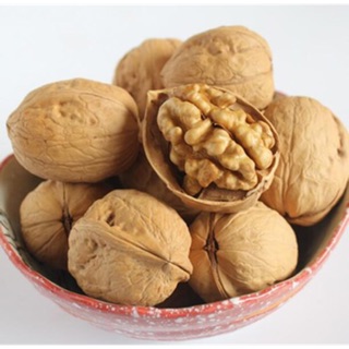 Hạt óc chó