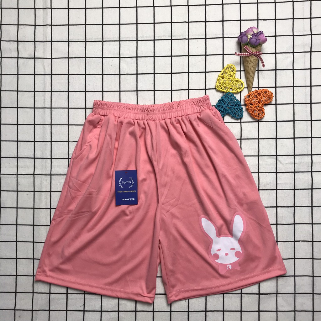 [Nhiều mẫu] Quần Short Lửng Cartoon Thú Unisex -Lapi VN ,FREESIZE đến 65kg, quần đùi nam nữ, đồ mặc nhà, set hoạt hình
