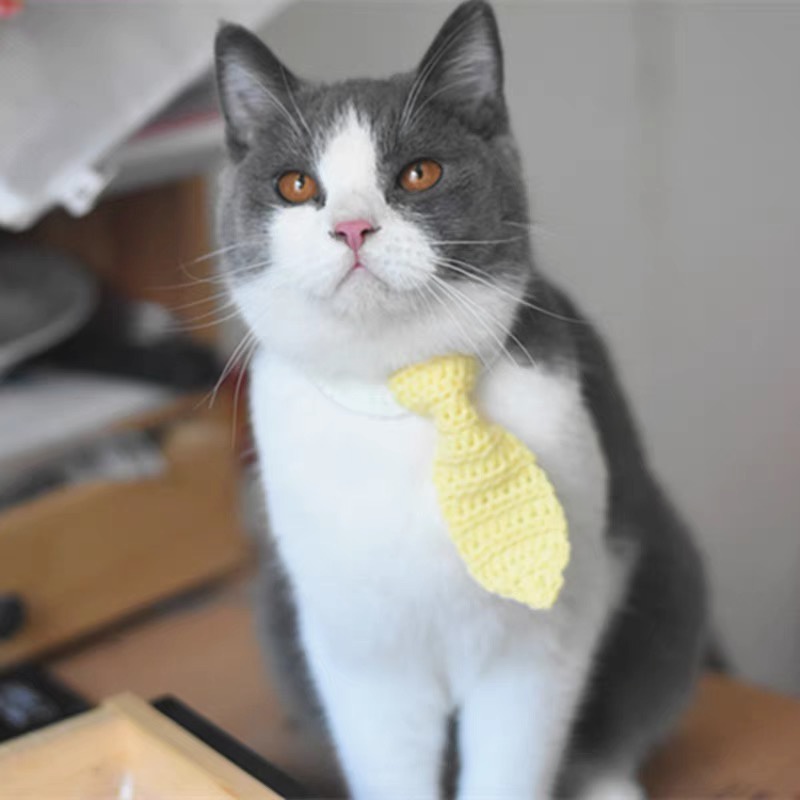 Cà vạt handmade cho chó mèo, cà vạt len tuỳ chỉnh size cổ CHILLMEOW