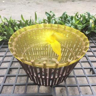 Túi lót chậu