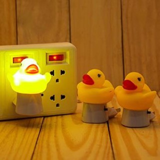 ĐÈN NGỦ NHIỀU MẪU