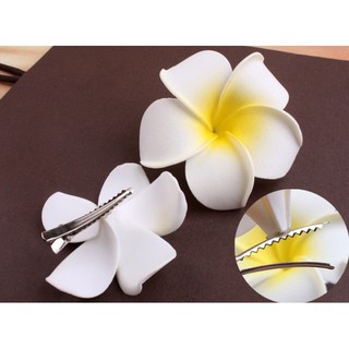 SET 5 KẸP HOA SỨ(RẺ MÀ CHẤT)