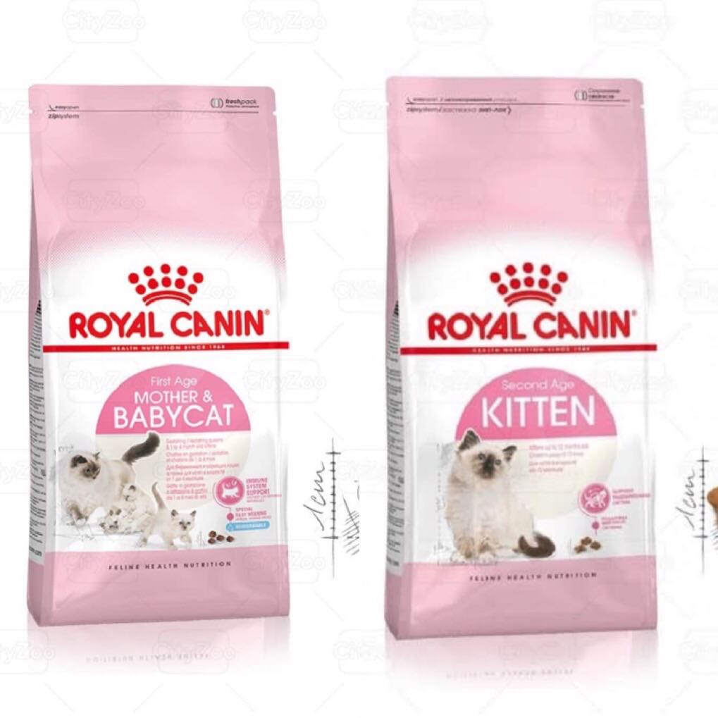 Royal baby mother - kitten 400gr