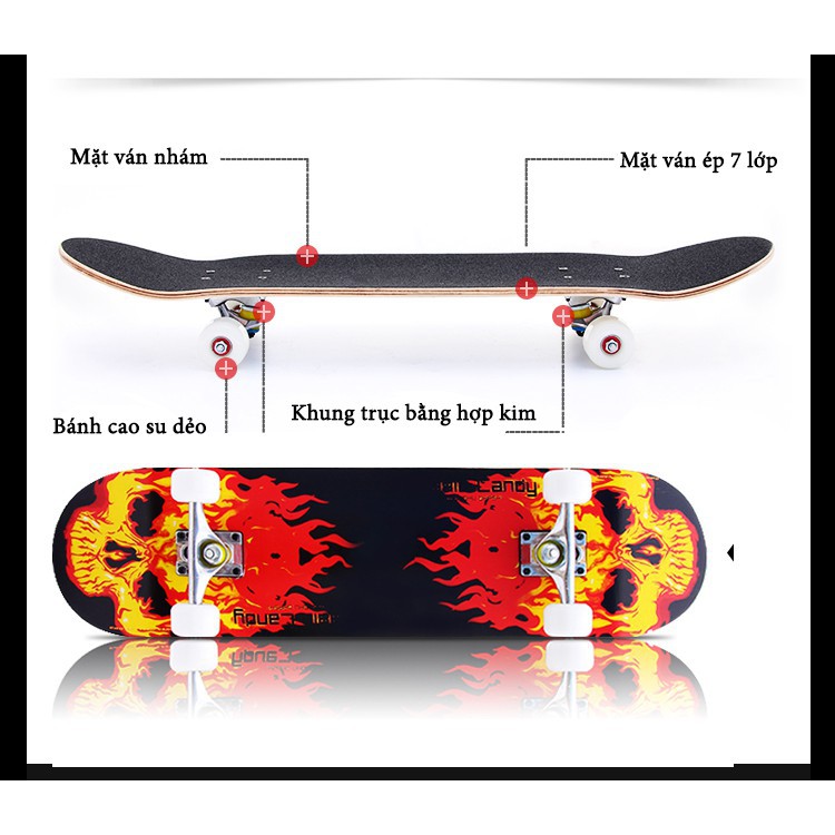 Ván trượt  thể thao skateboard người lớn chất liệu gỗ phong ép cao cấp 7 lớp bánh cao su mặt nhám màu ngẫu nhiên