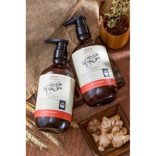 DẦU GỘI GỪNG- GINGER SHAMPOO