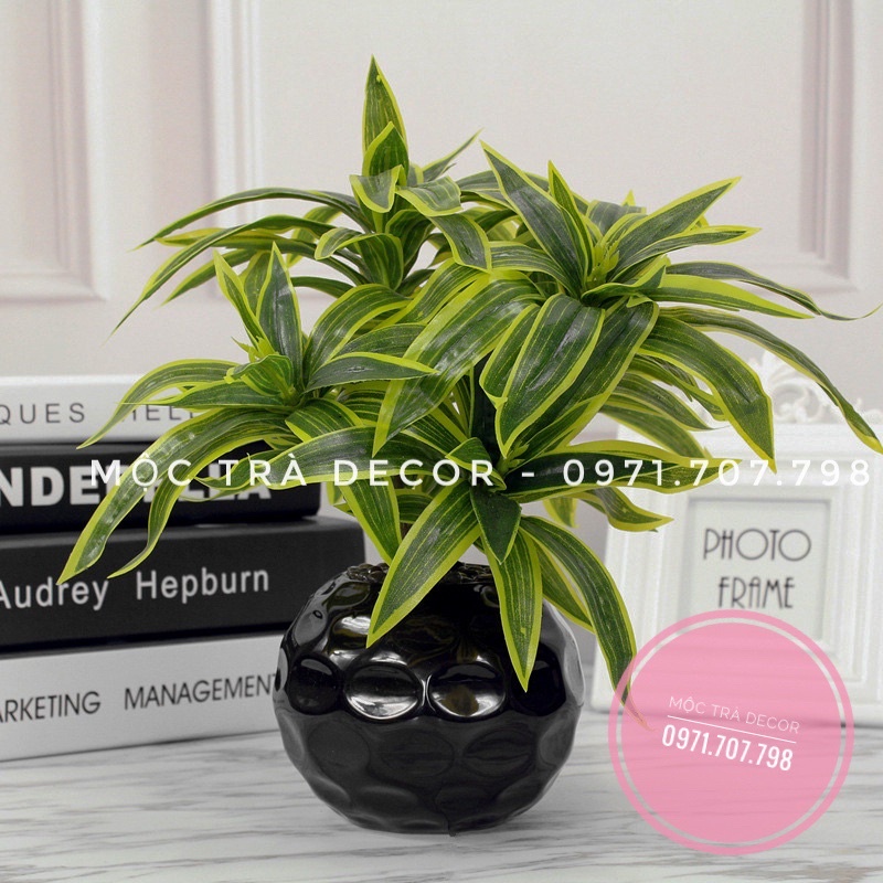 Cây Lá Giả 🌿 Cụm Lá Phát Tài Giả 3 Nhánh Dài 35cm Trang Trí Hàng Đẹp