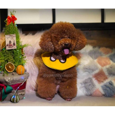 Vòng cổ tai gấu cho chó mèo - Yếm tai gấu