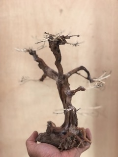 Lũa bonsai cổ thủ cho bể cá thuỷ sinh KT: C32xD22
