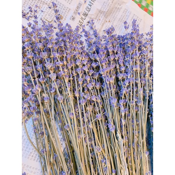 Bó 100 cành hoa Lavender khô thơm phòng, trang trí nhà cửa, nội thất