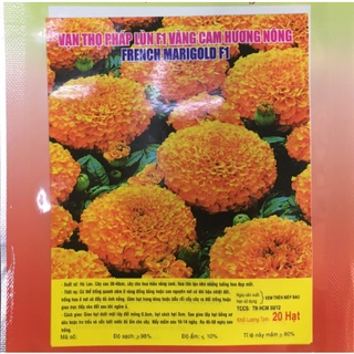 Keo bẫy ruồi Korea Fly Catch (5 miếng)301
