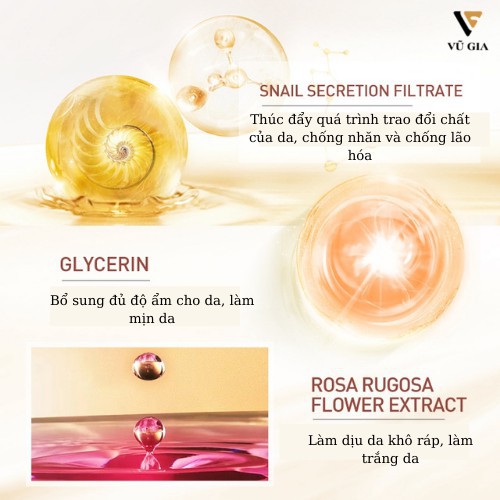 Mặt Nạ, Mặt Nạ Ngủ Ốc Sên LAIKOU 20 Gói Dưỡng Ẩm Kiểm Soát Dầu Chăm Sóc Da Mặt Mịn Màng 60g