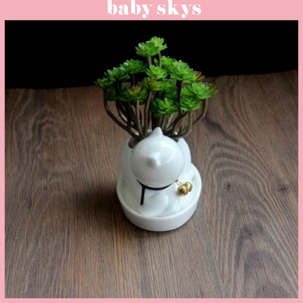 Chậu Trồng Cây Cảnh Mini Sen Đá Xương Rồng Hình Mèo Có Khay Lỗ Thoát Nước