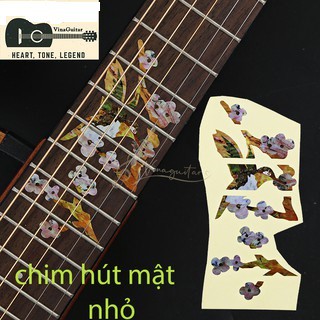 Miếng dán họa tiết cần đàn guitar (hình chim sẻ hút mật)