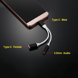Cáp Chuyển Đổi Âm Thanh Usb Type-c Sang 3.5mm