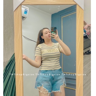 ÁO LEN SỌC XÁM [ TNT SHOP BIGSIZE 60KG 90KG ]