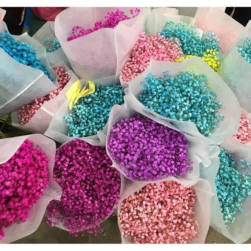 Bó 120gr hoa baby khô decor trang trí nhà cửa, hoa khô trang trí nội thất siêu xinh