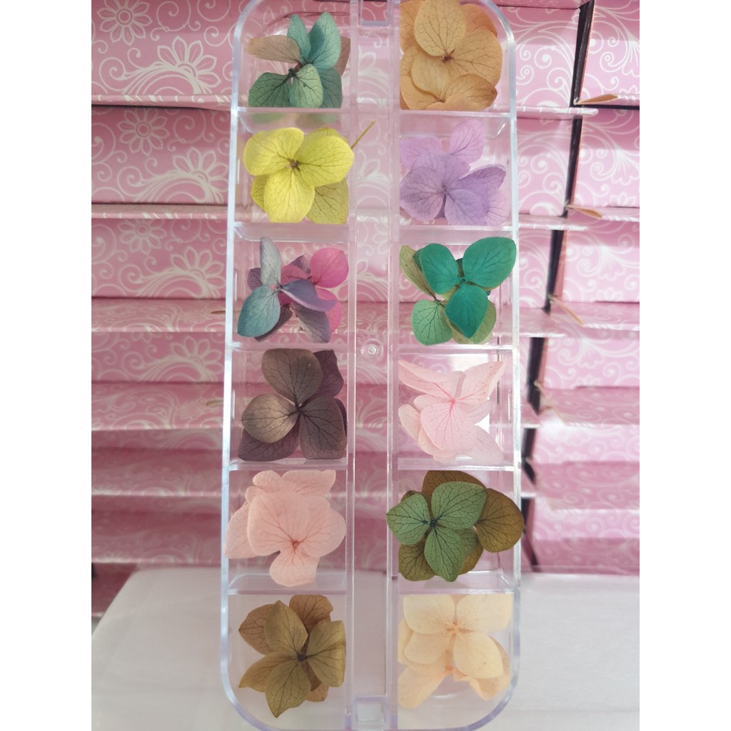 Set hoa khô Nhật Bản ẩn gel 12 màu