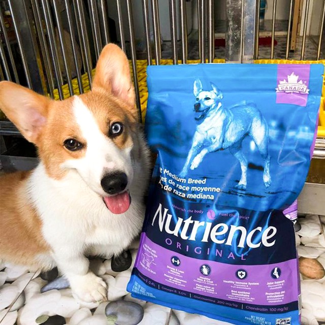 Thức Ăn Cho Chó Corgi Nutrience Infusion Bao 5kg Da Lông Bóng Mượt - Thịt Cừu, Rau Củ, Trái Cây