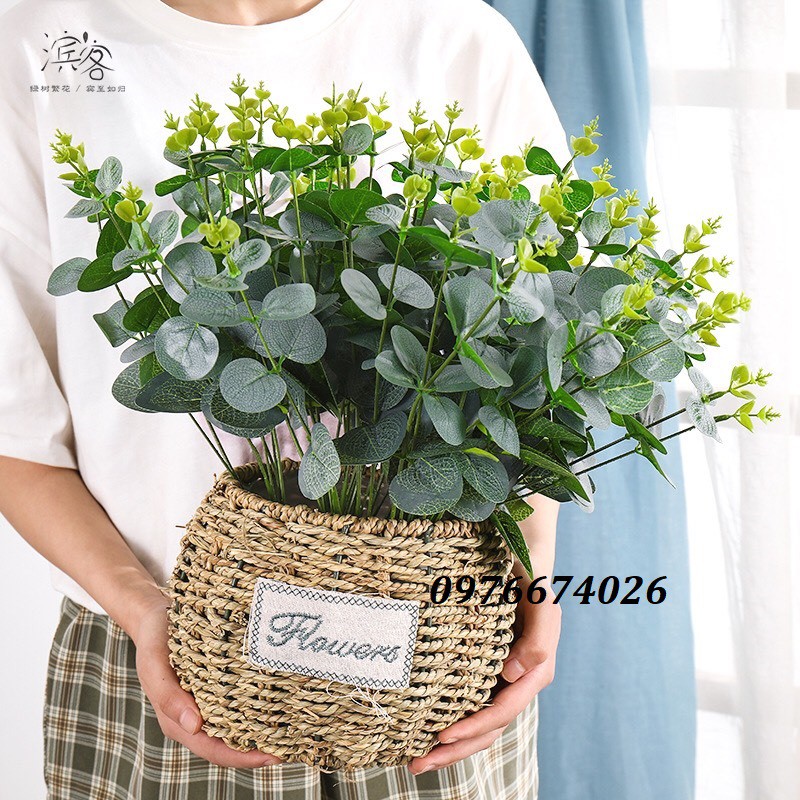 Cành lá táo 16 nhánh hàng loại 1 giống thật, phù hợp trang trí nhà cửa